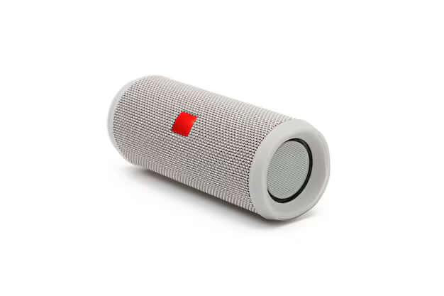 Wireless Speakers
